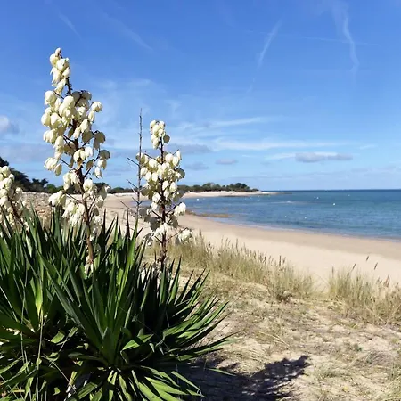 Campsite Le Phare